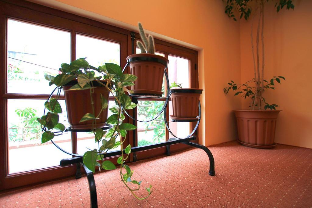 Hotel Anastasia Rhodes City Buitenkant foto